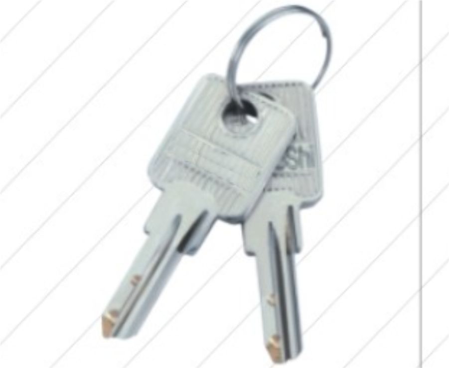 Copper Key for Computer